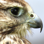 instant-digital-datavizz