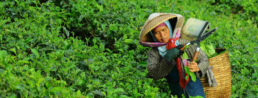 2017-04-instant-digital-recueil-données-social-data